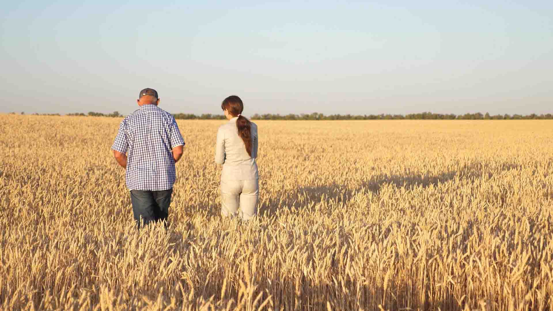 Competencias profesionales de los ingenieros agrónomos y de los ingenieros técnicos agrícolas
