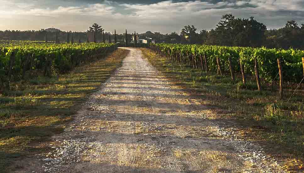 Camino rural