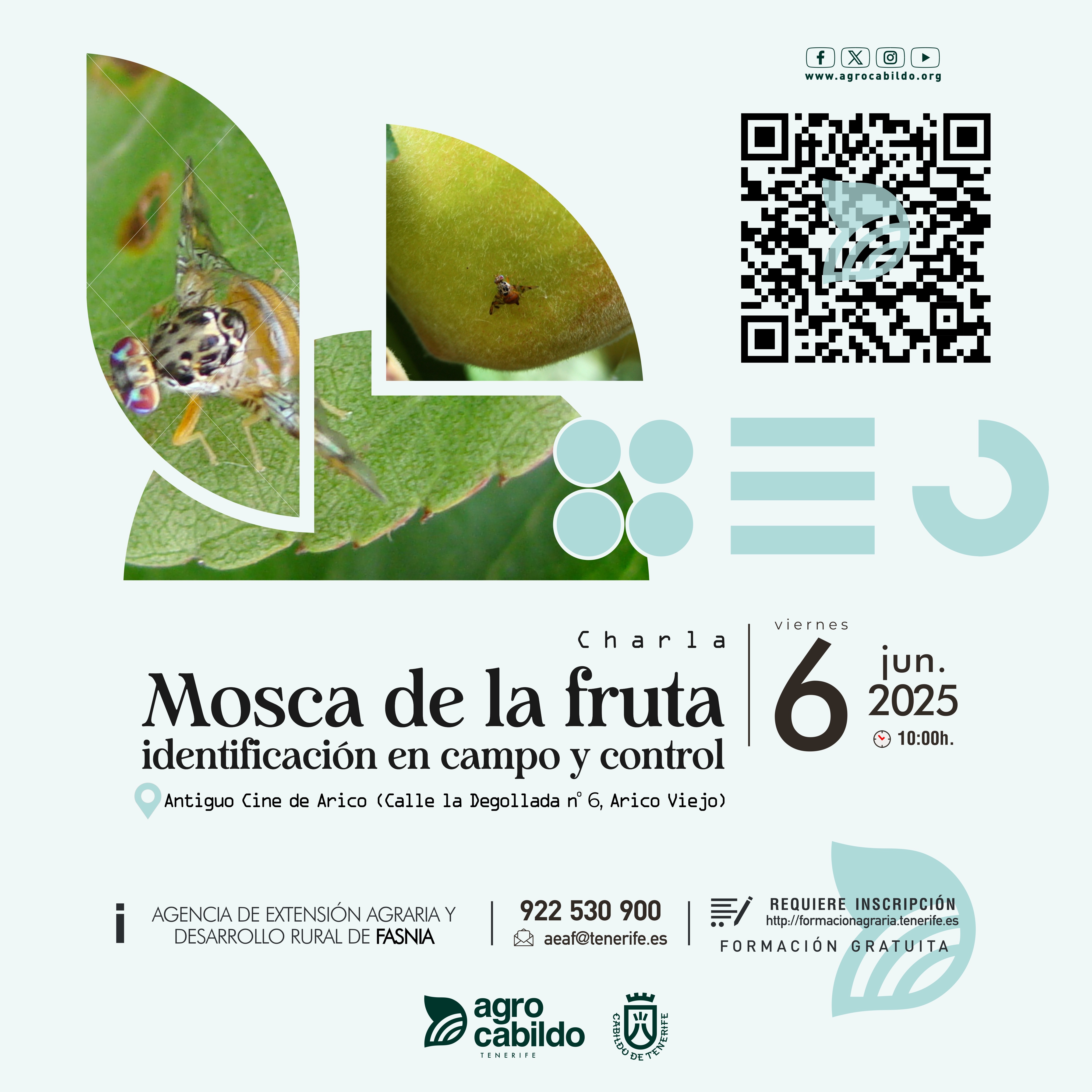 Charla "Mosca de la fruta identificación en campo y control"