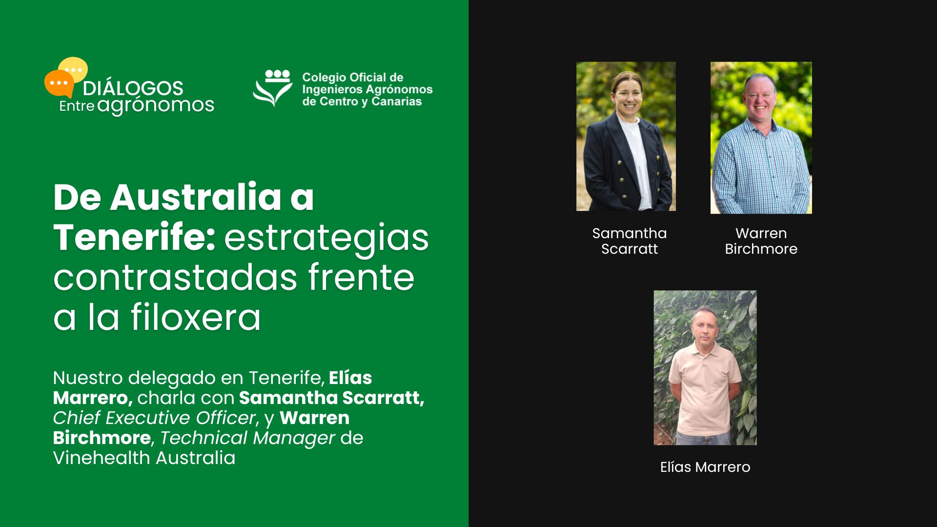 De Australia a Tenerife: estrategias contrastadas frente a la filoxera - Diálogos entre agrónomos