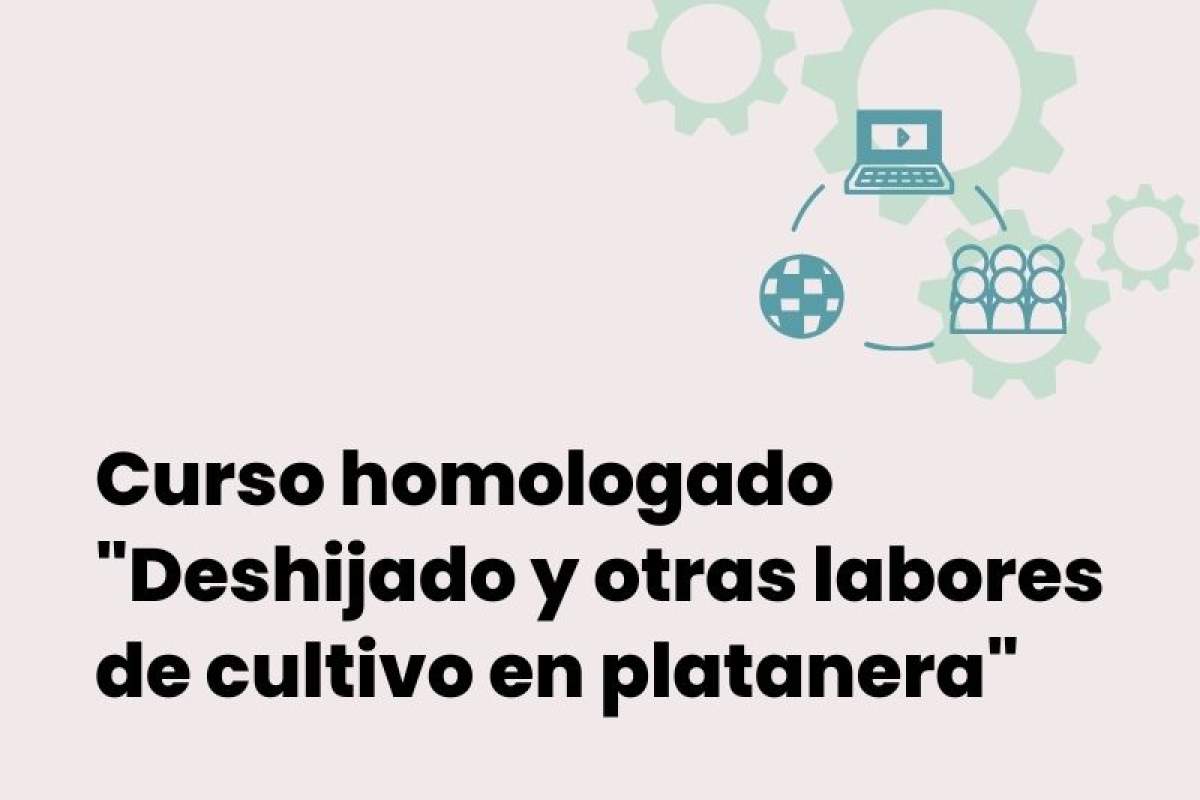 Curso homologado "Deshijado y otras labores de cultivo en platanera"