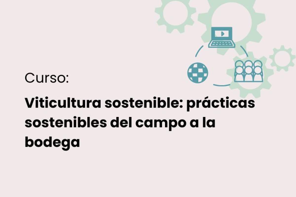 Curso de viticultura sostenible: prácticas sostenibles del campo a la bodega Curso de viticultura sostenible: prácticas sostenibles del campo a la bodega