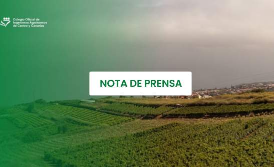 El Colegio de Ingenieros Agrónomos impulsa un espacio de reflexión técnica sobre la filoxera en Canarias