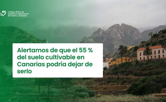 Alertamos de que el 55 % del suelo cultivable en Canarias podría dejar de serlo