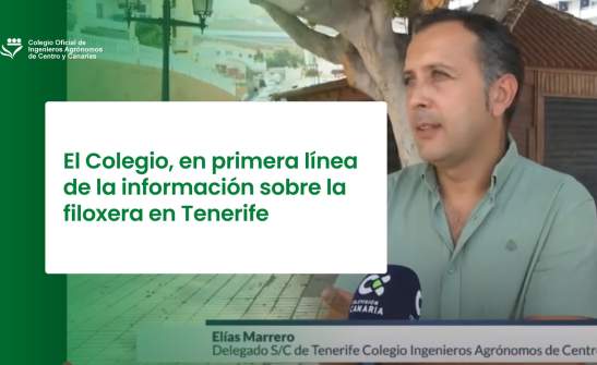 El Colegio, en primera línea de la información sobre la filoxera en Tenerife