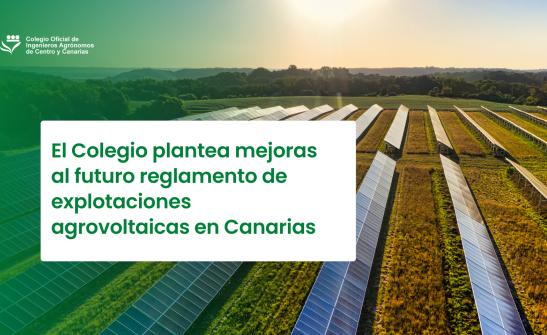 El Colegio plantea mejoras al futuro reglamento de explotaciones agrovoltaicas en Canarias