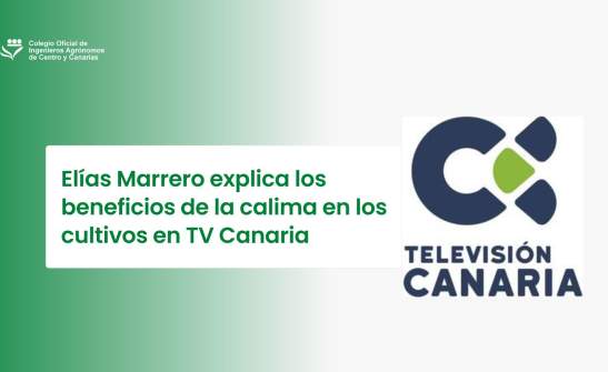 Elías Marrero explica los beneficios de la calima en los cultivos en TV Canaria