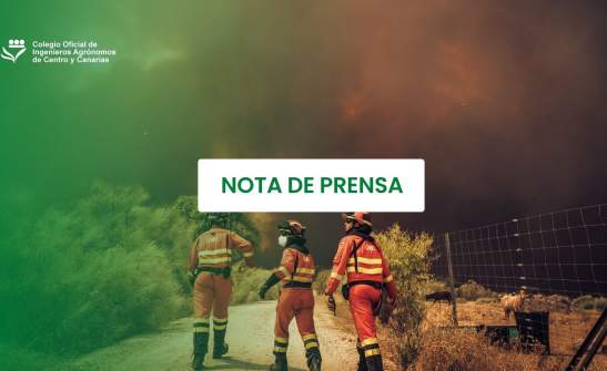 Los ingenieros agrónomos preparan medidas de apoyo para los afectados por los incendios
