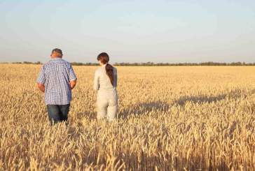 Ingenieros agrónomos e ingenieros técnicos agrícolas exigen un diálogo en el que se ofrecen como interlocutores para acabar con el hartazgo del campo
