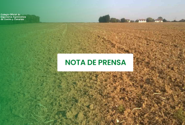 Los ingenieros agrónomos piden mejoras clave en el borrador de la Ley del Suelo para garantizar el futuro del campo canario