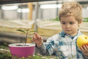 Ingenieros agrónomos: Tenemos los conocimientos y la tecnología suficientes para erradicar el hambre