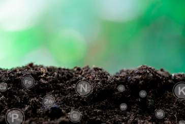 Bioestimulantes, claves para una agricultura más sostenible y rentable