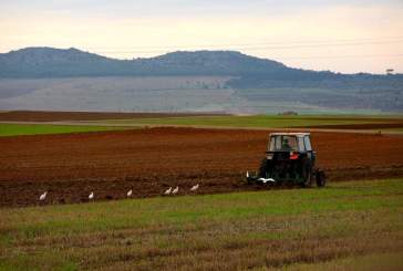 Iniciativas para mejorar la situación del sector agrario