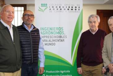 El Colegio y FECOMA buscan posibles formas de colaboración en materia de formación y emprendimiento