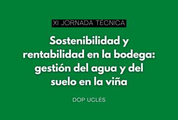 Jornada: Sostenibilidad y rentabilidad en la bodega: gestión del agua y del suelo en la viña