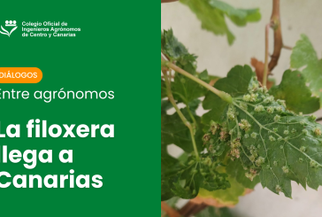 Diálogos entre agrónomos Diálogos entre agrónomos" es una sección concebida como un espacio de análisis y debate profesional sobre la filoxera en Canarias. Los contenidos se presentan en diferentes formatos, conversaciones grabadas, artículos o entrevistas, para facilitar su difusión y comprensión.  Accede a todo el contenido de esta sección en https://agronomoscentro.org/articulos/dialogos-agronomos