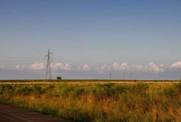 Cuidar el medio ambiente también está en el ADN de los ingenieros agrónomos