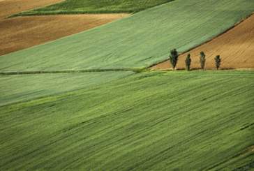 Cuestionario sobre agroecología