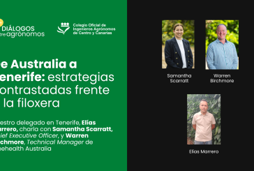 De Australia a Tenerife: estrategias contrastadas frente a la filoxera