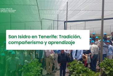 San Isidro en Tenerife: Tradición, compañerismo y aprendizaje