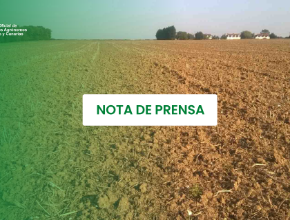 Los ingenieros agrónomos piden mejoras clave en el borrador de la Ley del Suelo para garantizar el futuro del campo canario