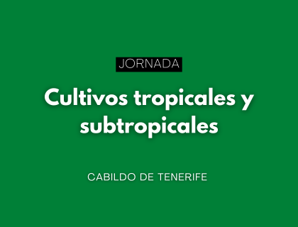 Tenerife celebra jornadas sobre cultivos tropicales y subtropicales