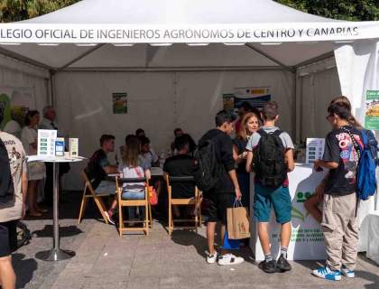 VII Día de las Profesiones de UICM