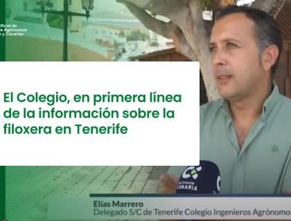 El Colegio, en primera línea de la información sobre la filoxera en Tenerife