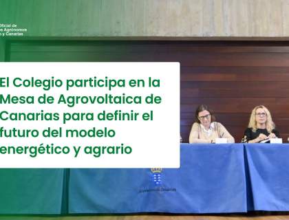 El Colegio participa en la Mesa de Agrovoltaica de Canarias para definir el futuro del modelo energético y agrario