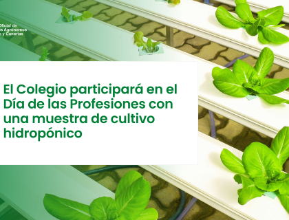 El Colegio participará en el Día de las Profesiones con una muestra de cultivo hidropónico