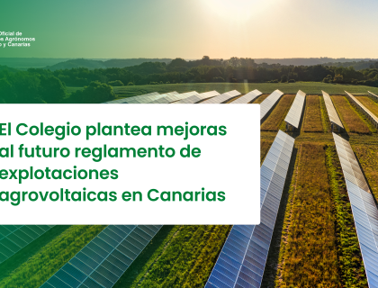 El Colegio plantea mejoras al futuro reglamento de explotaciones agrovoltaicas en Canarias