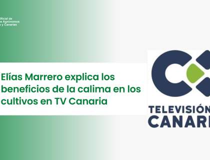 Elías Marrero explica los beneficios de la calima en los cultivos en TV Canaria