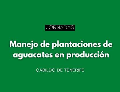 Jornadas de manejo de plantaciones de aguacates en producción