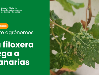 Diálogos entre agrónomos Diálogos entre agrónomos" es una sección concebida como un espacio de análisis y debate profesional sobre la filoxera en Canarias. Los contenidos se presentan en diferentes formatos, conversaciones grabadas, artículos o entrevistas, para facilitar su difusión y comprensión.  Accede a todo el contenido de esta sección en https://agronomoscentro.org/articulos/dialogos-agronomos