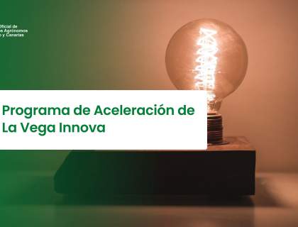 Programa de Aceleración de La Vega Innova