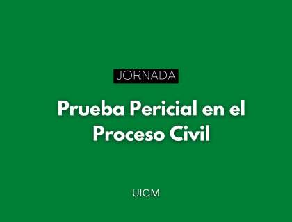 Jornadas online sobre la práctica de la prueba pericial en el proceso civil