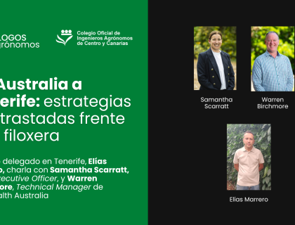 De Australia a Tenerife: estrategias contrastadas frente a la filoxera