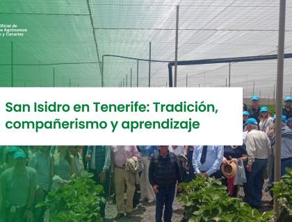 San Isidro en Tenerife: Tradición, compañerismo y aprendizaje