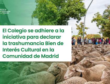 El Colegio se adhiere a la iniciativa para declarar la trashumancia Bien de Interés Cultural en la Comunidad de Madrid