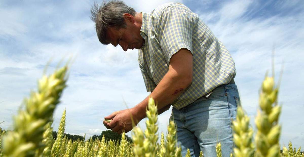Mano de obra y tecnología adecuada para el sector agrario