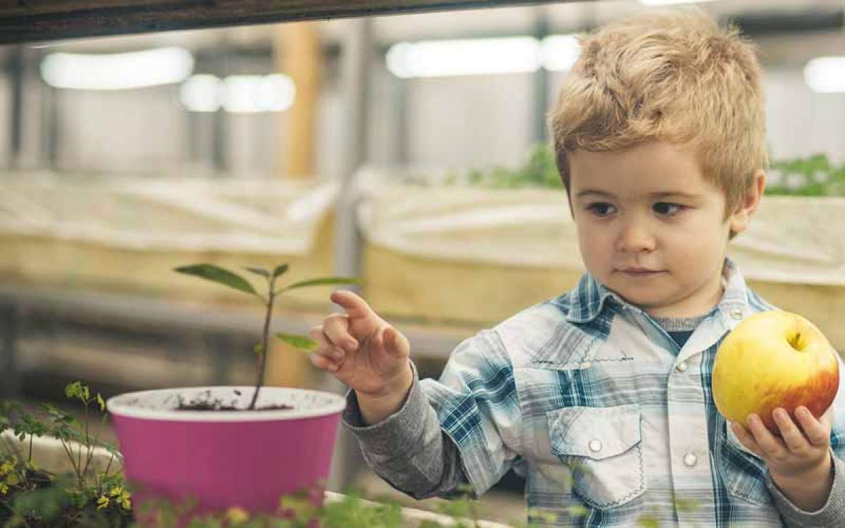 Ingenieros agrónomos: Tenemos los conocimientos y la tecnología suficientes para erradicar el hambre