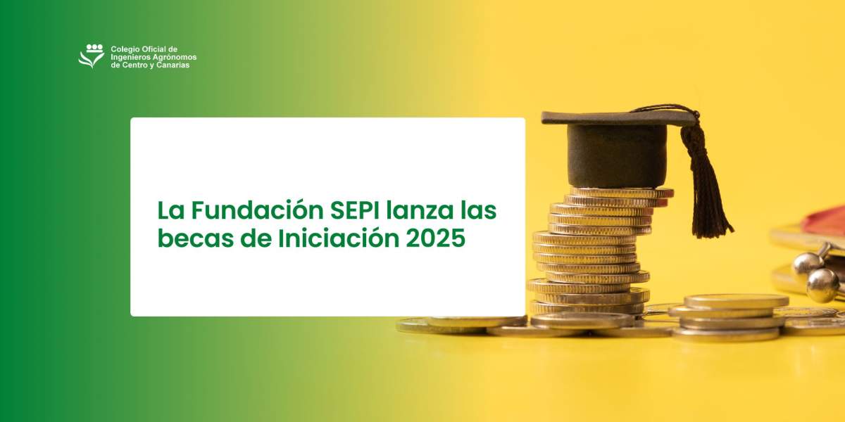 La Fundación SEPI lanza las becas de Iniciación 2025