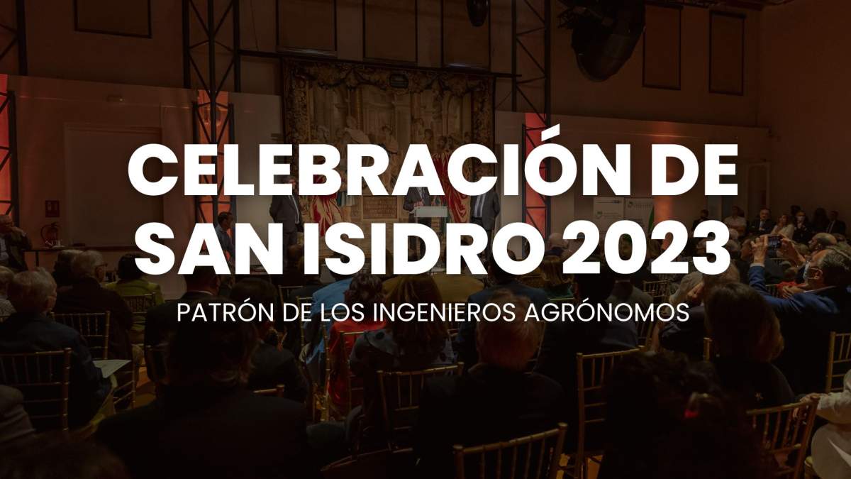 San Isidro 2023 - Descargar invitaciones