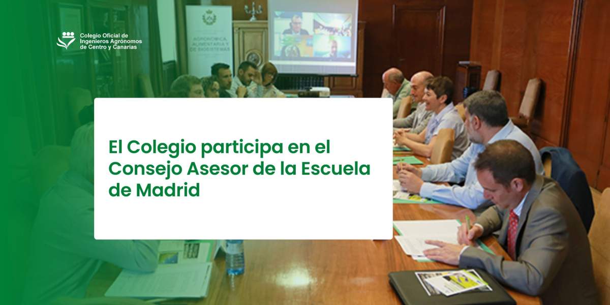 El decano participa en el Consejo Asesor de la Escuela de Madrid