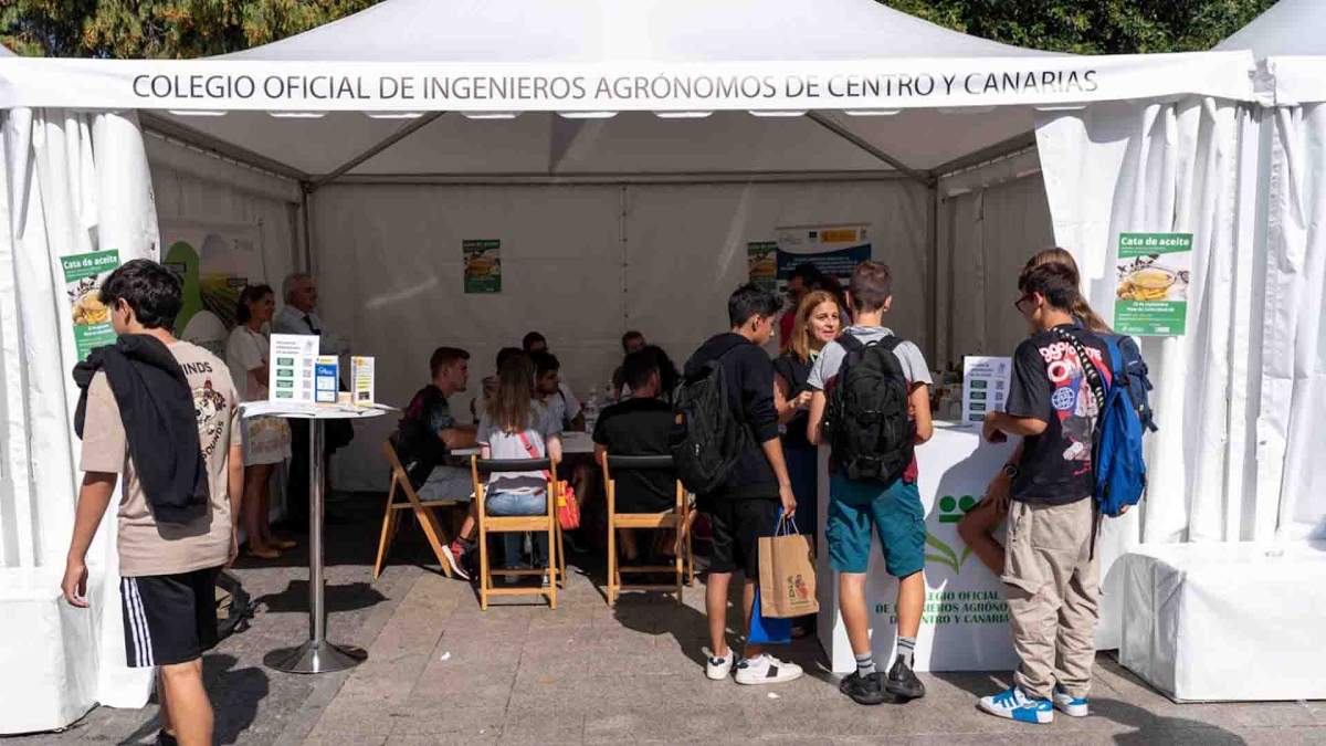 VII Día de las Profesiones de UICM