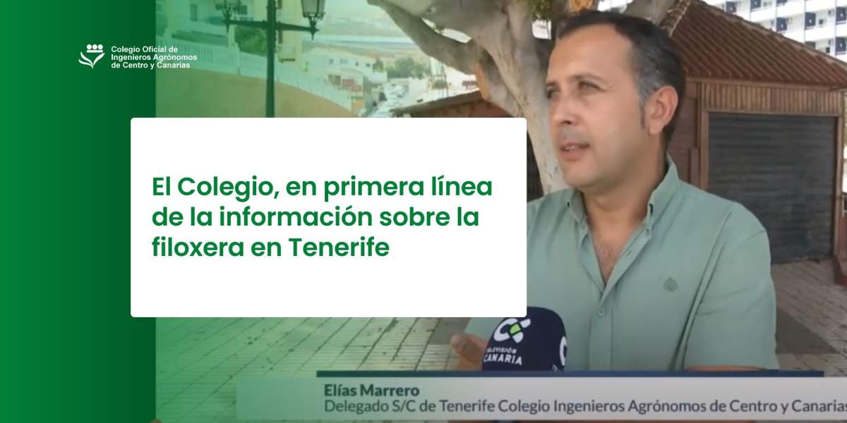 El Colegio, en primera línea de la información sobre la filoxera en Tenerife