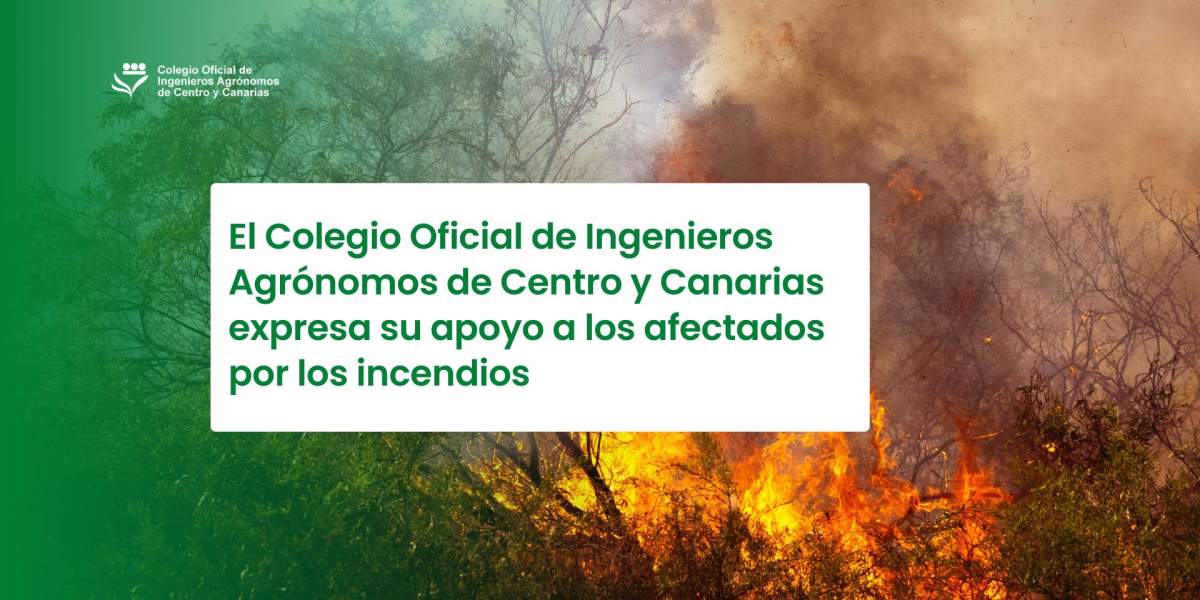 El Colegio Oficial de Ingenieros Agrónomos de Centro y Canarias expresa su apoyo a los afectados por los incendios y reivindica la gestión activa del territorio como herramienta esencial de prevención