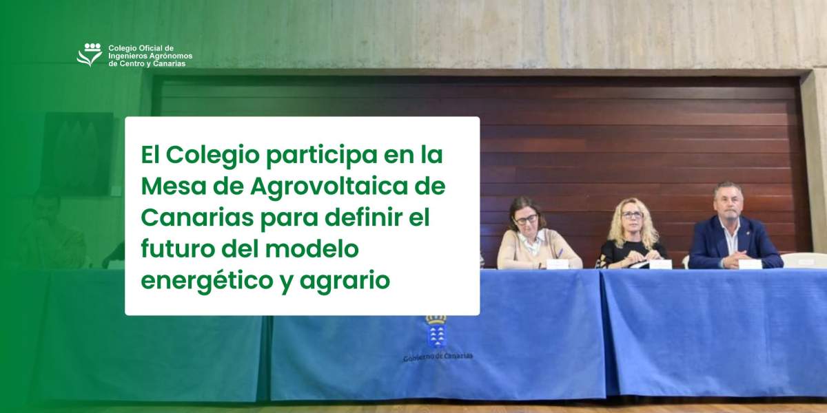El Colegio participa en la Mesa de Agrovoltaica de Canarias para definir el futuro del modelo energético y agrario
