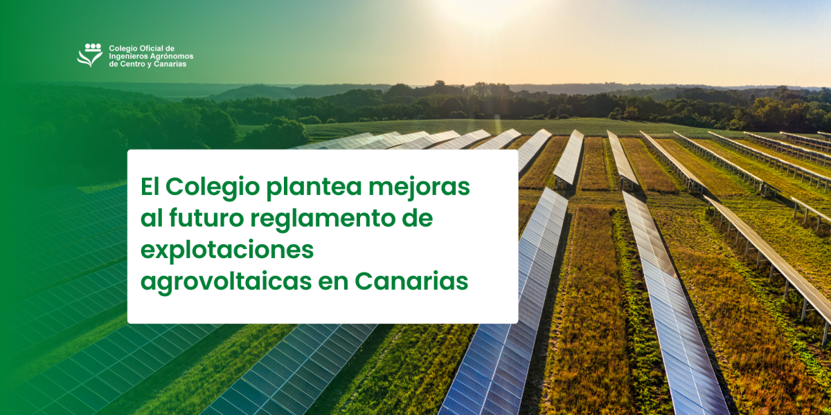 El Colegio plantea mejoras al futuro reglamento de explotaciones agrovoltaicas en Canarias