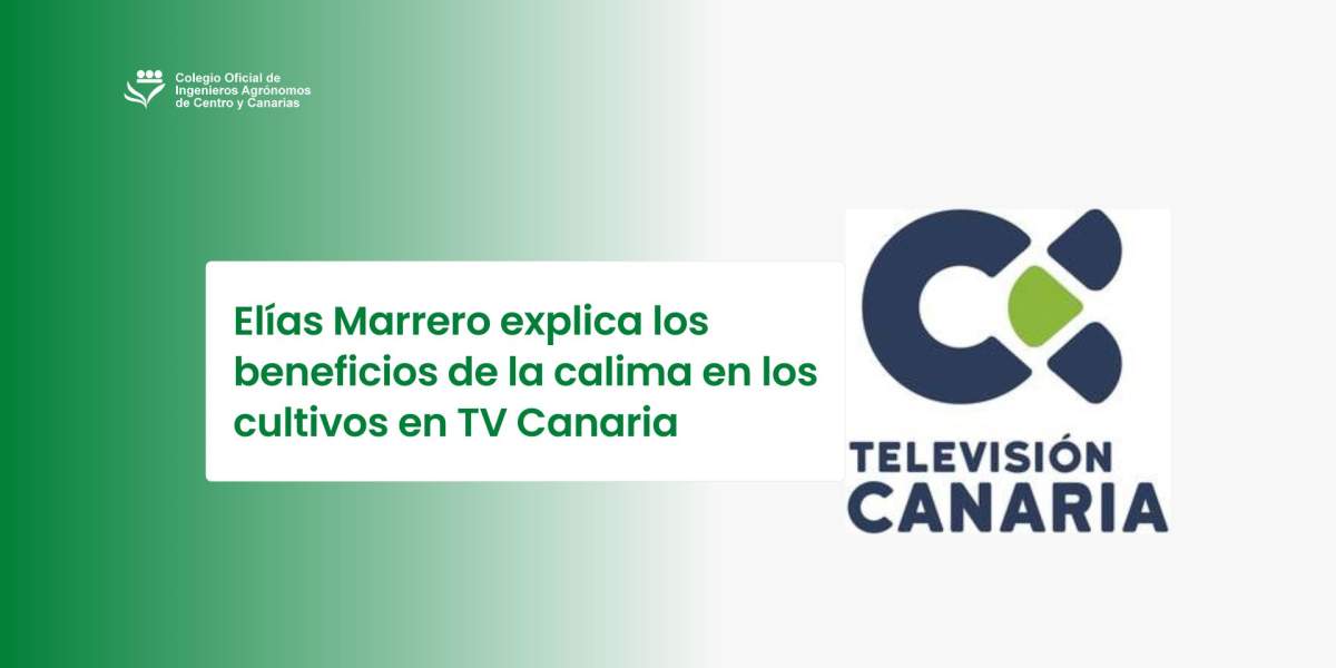 Elías Marrero explica los beneficios de la calima en los cultivos en TV Canaria
